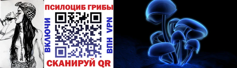 Купить  Ясный  Галлюциногенные грибы Magic Shrooms 